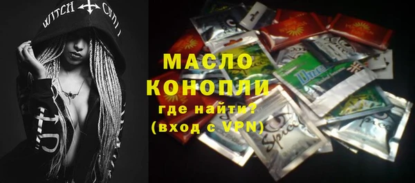 хмурый Бородино
