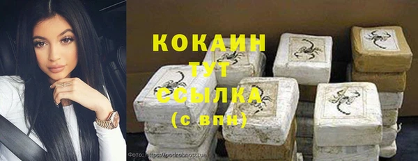 хмурый Бородино