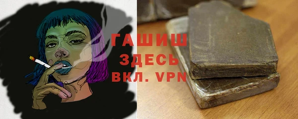 хмурый Бородино