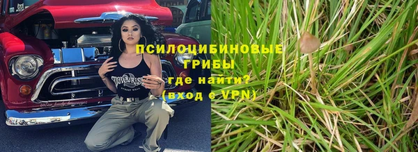 хмурый Бородино