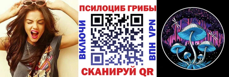 ссылка на мегу как войти  Королёв  Галлюциногенные грибы Magic Shrooms 
